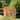 PawHut Large Wooden Outdoor Cat House with Large Run for Play, Catio for Lounging, and Condo Area for Sleeping