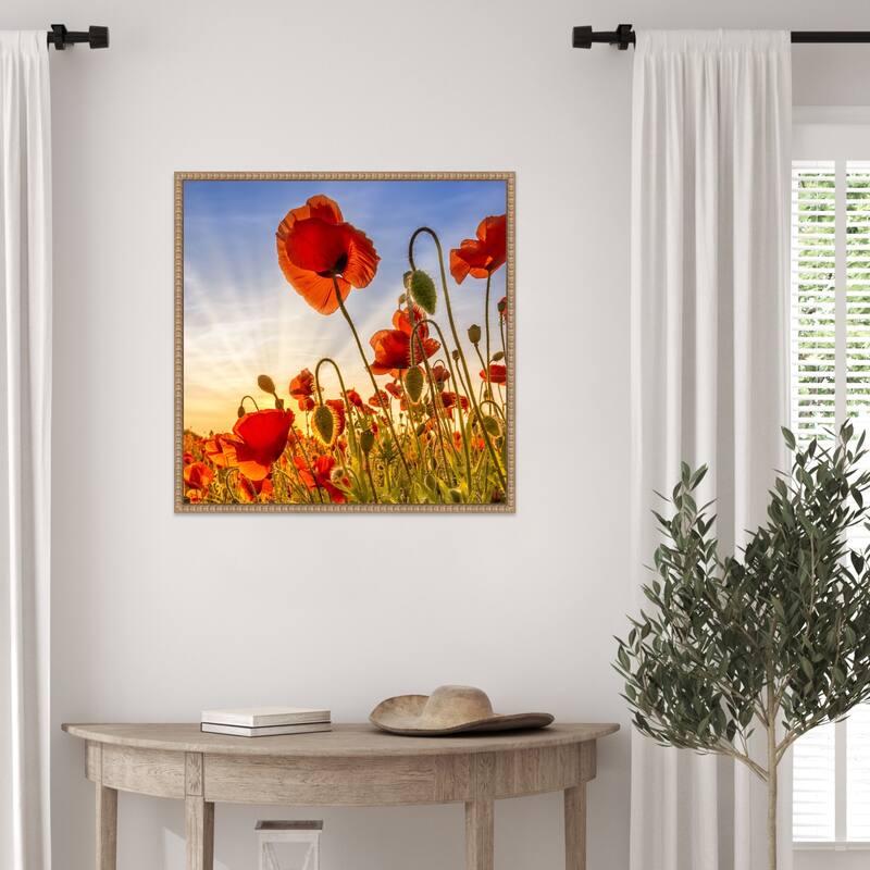 Fascinating Poppies by Melanie Viola Framed Canvas Wall Art Print