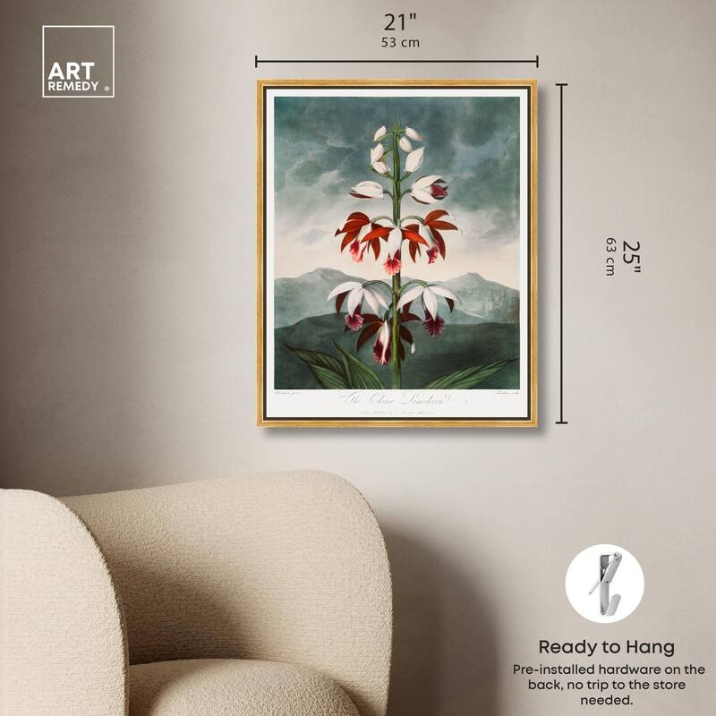 The China Limodoron 1807 Canvas by Art Remedy