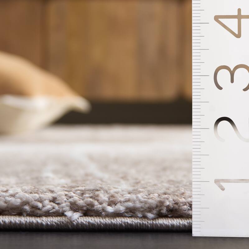 SAFAVIEH Northport Sigun Rug