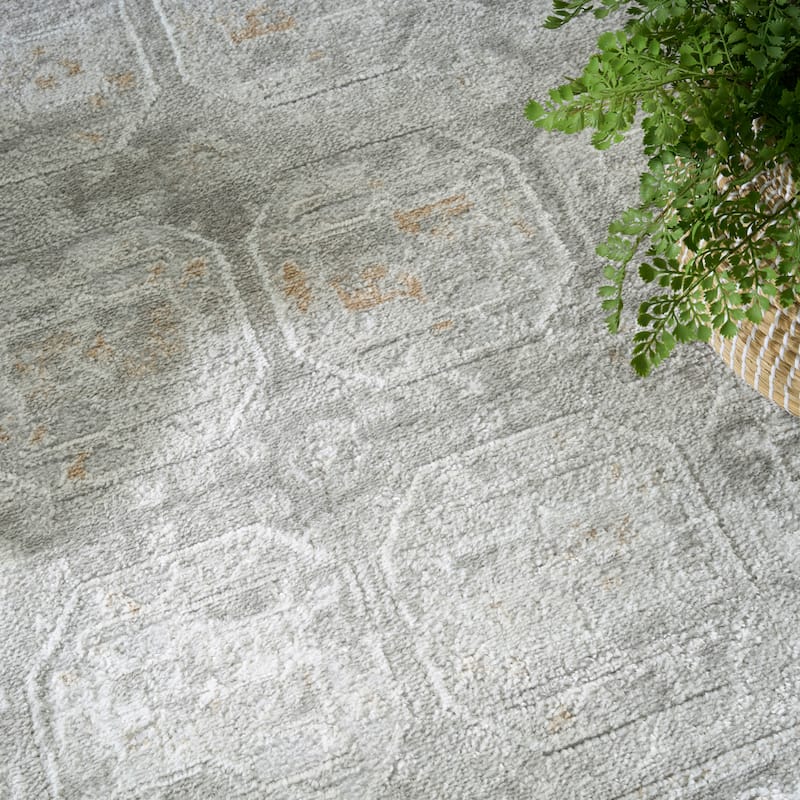 Nourison Dekor Indoor only Moroccan Area Rug