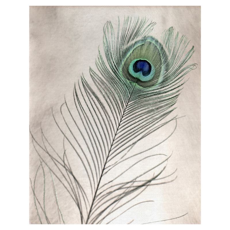Feathers #11 by Alan Blaustein Canvas Art Print