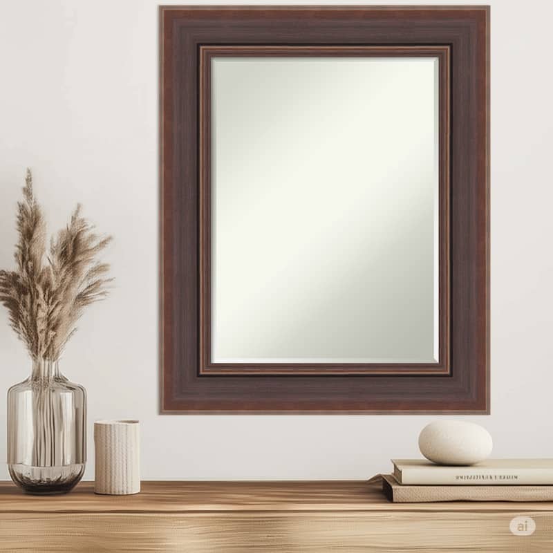 Moab Half-Inch-Bevel Framed Wall Mirror - Moab Brown Bronze - 26 x 32 in