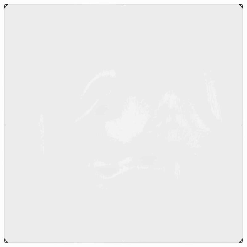 vidaXL Plant Cover Transparent Water-resistant