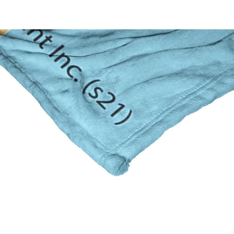 Warner Brothers Looney Tunes Silk Touch Throw Blanket