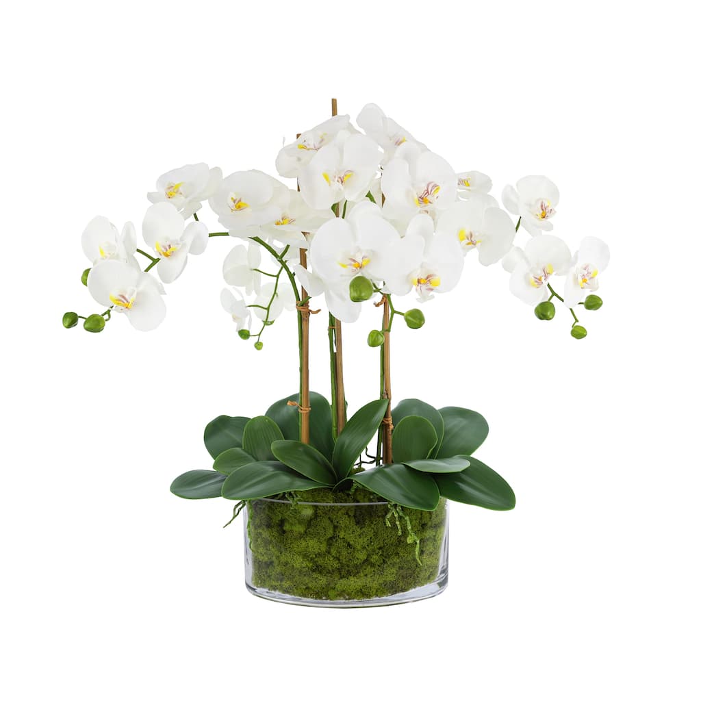 Orchids and Bamboo in a Clear Oblong Glass Vase - White