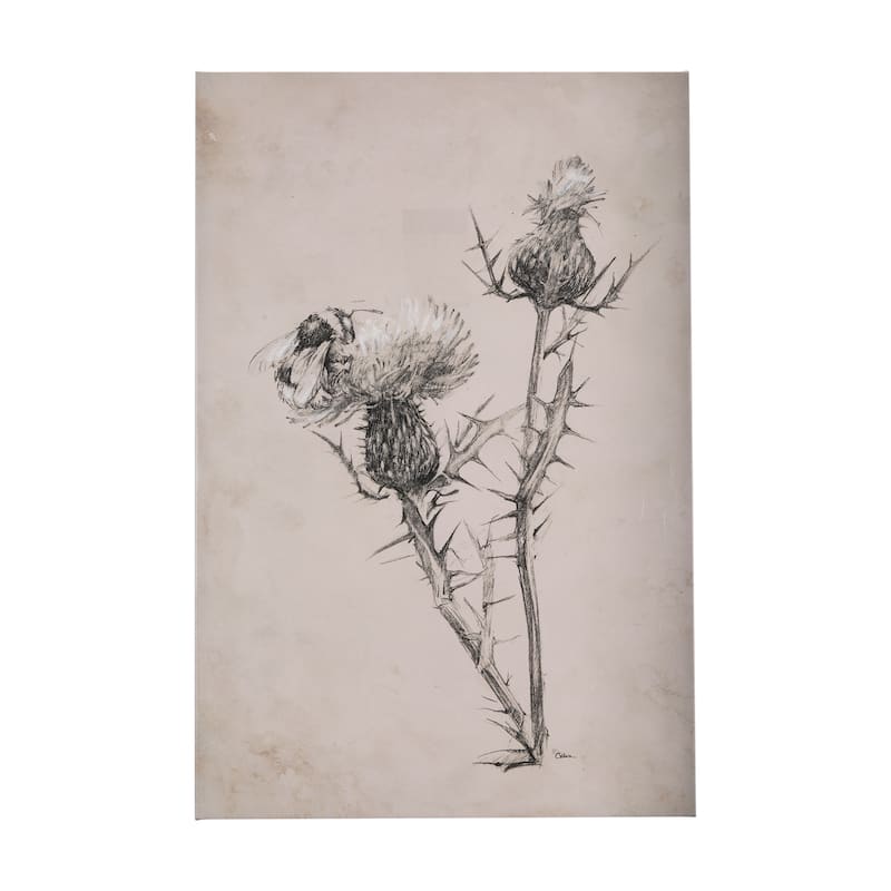 Thistle With Bumblebee Drawing IV (40 x 60) Canvas Art Print - Large