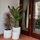 preview thumbnail 6 of 7, DreamPatio Garland Fiberstone Planter