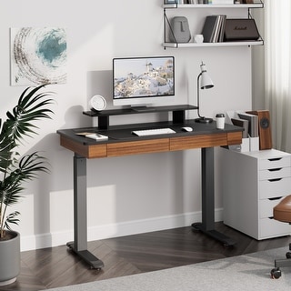 Eureka 47" Home Office Computer Desk Electric Standing Desk With Two ...