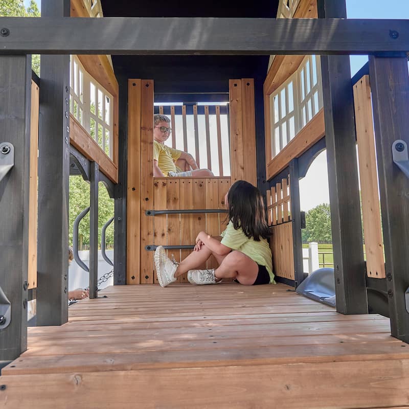 Backyard Discovery Rosewood Falls Cedar Wood Swing Set, Monkey Bars