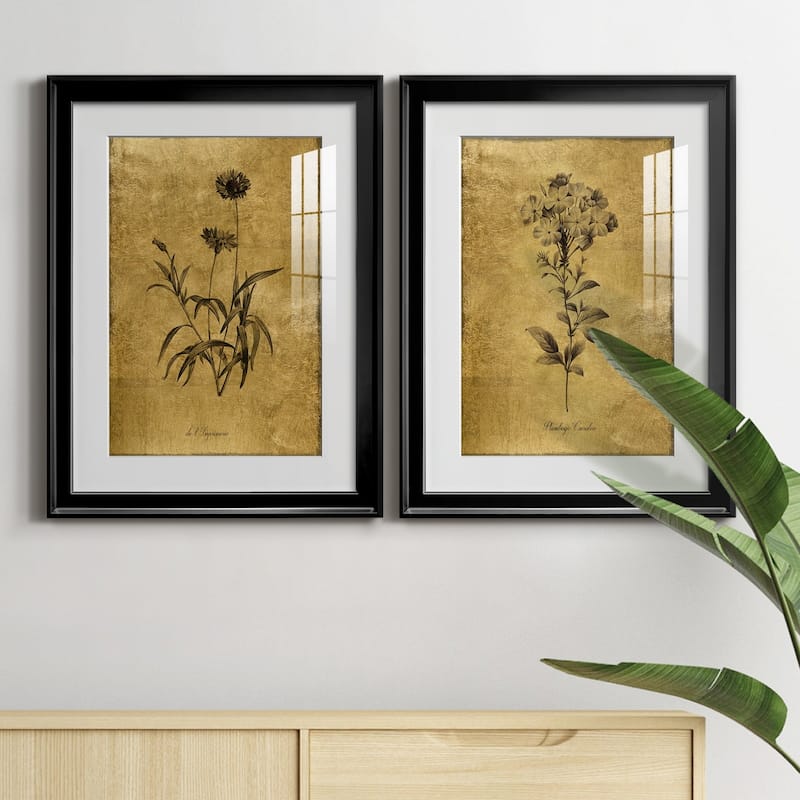 Gold Sketch Botanical I Premium Framed Print - Ready to Hang
