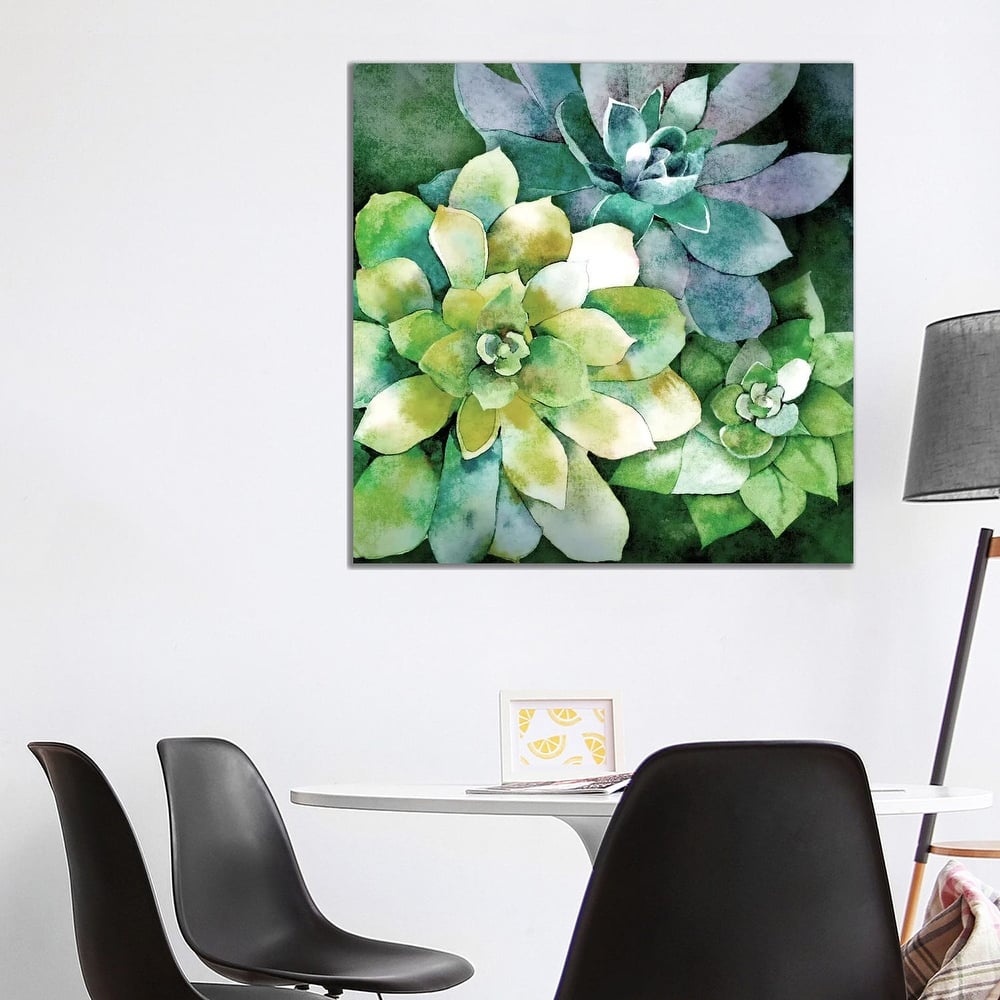 iCanvas "Summer Succulents" by Conrad Knutsen Canvas Print