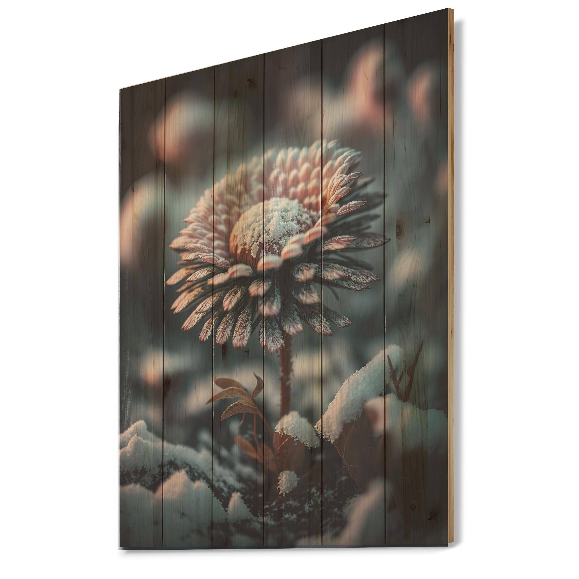 Designart 'A Blooming Pink Daisy Flower In Winter II' Floral Rose Wood ...