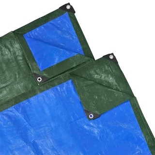 vidaXL PE Cover Sheet 32' 8" x 4' 11" Green/Blue