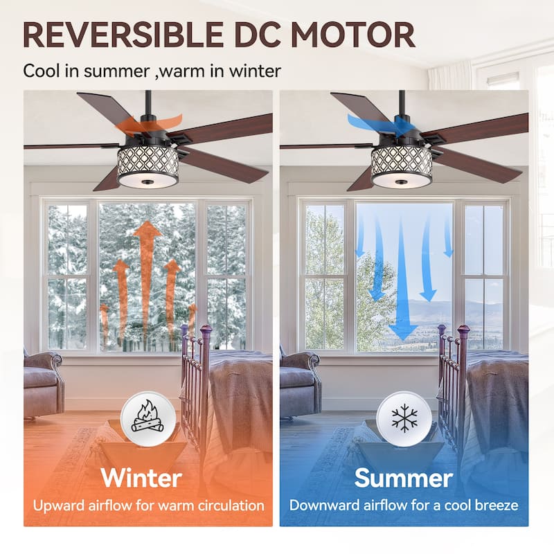 52" Reversible 5-Blade Caged Ceiling Fan with Light and Remote