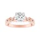Option Rose