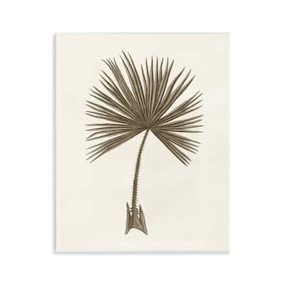 Stupell Vintage Study of Palm Leaf Wall Plaque Art Design By Phillipa Katz
