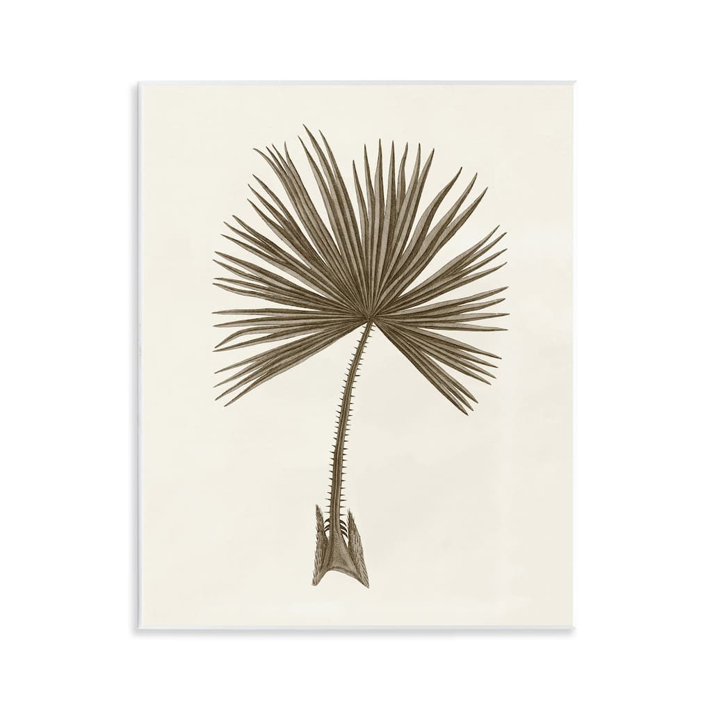 Stupell Vintage Study of Palm Leaf Wall Plaque Art Design By Phillipa Katz