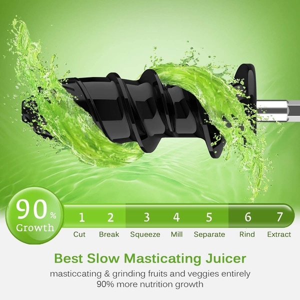 Homever slow masticating sales juicer