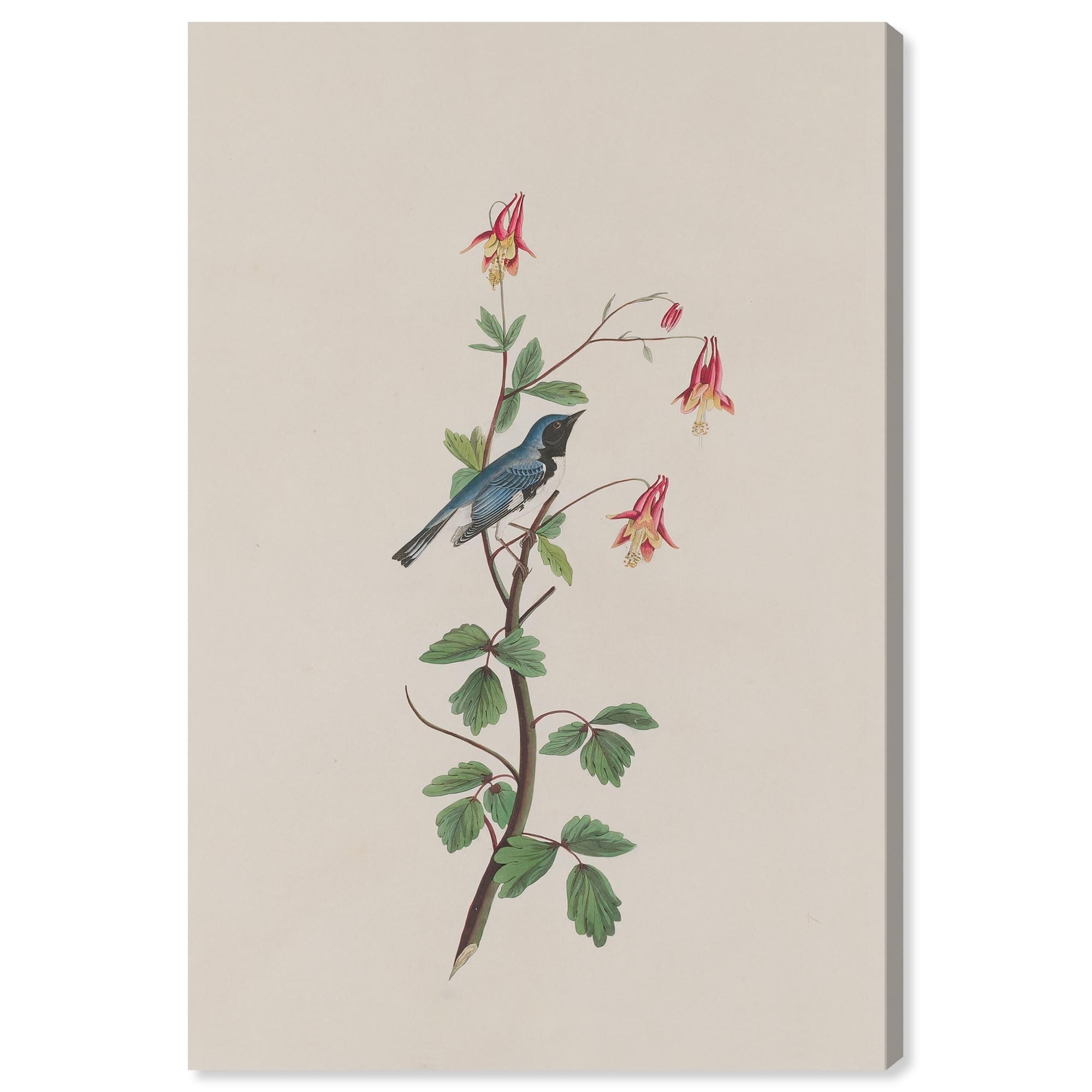 Woodland Gem Botanical Art Canvas Print by Art Remedy