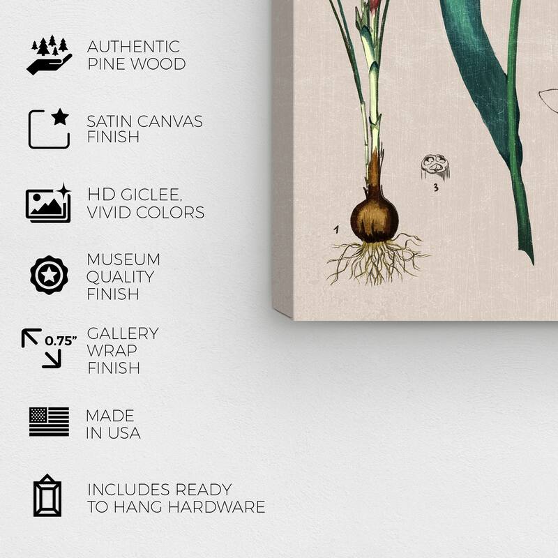 Wynwood Studio Canvas Floral and Botanical Floral Diagram White and Modern & Contemporary Wall Art Canvas Print
