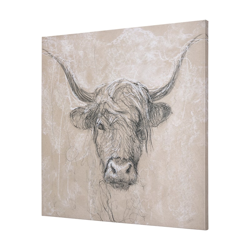 Sketch of Animal VIII (Highland Bull) (30 x 30) Canvas Art Print