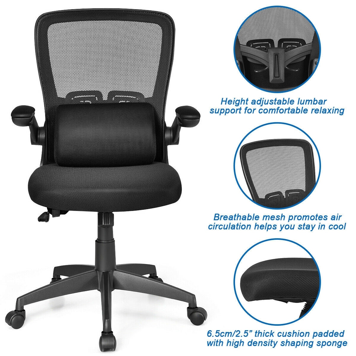 Shop Ergonomic Desk Chair With Massage Lumbar Pillow Black