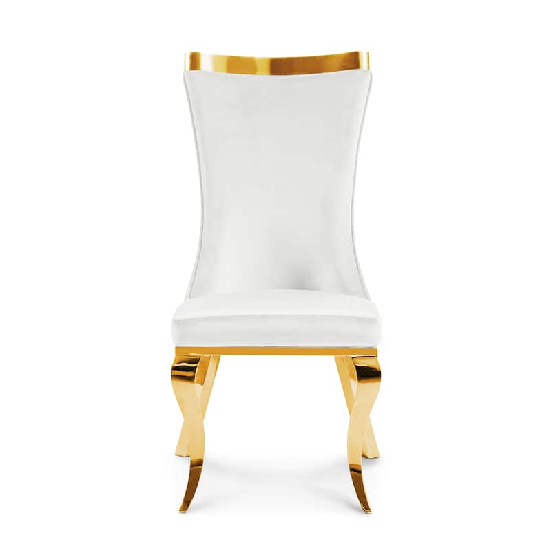 Furniture of America Thaddeus Glam Velvet High Back Side Chair (Set of 2)