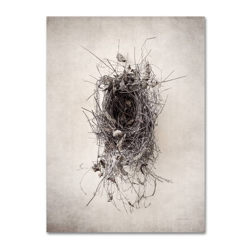 Debra Van Swearingen 'Nest II' Canvas Art