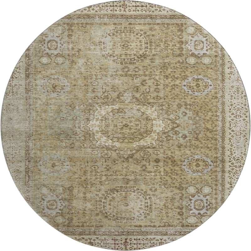 Premium Washable Super Soft Vintage Traditional Mayfield Rug