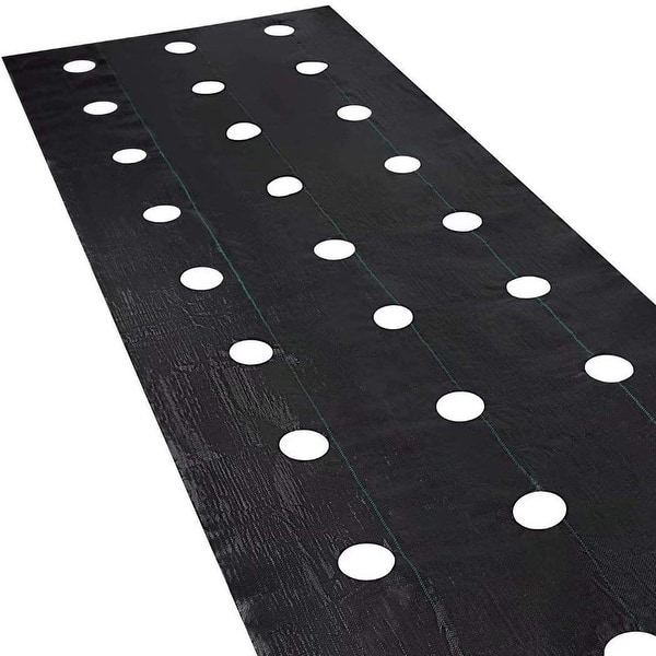 slide 2 of 5, Agfabric Weed Barrier with Holes Landscape PP Woven Weed Block, 3.0oz 4'x6'x6rows - Black