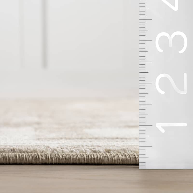 Olvera Geometric Bordered Area Rug