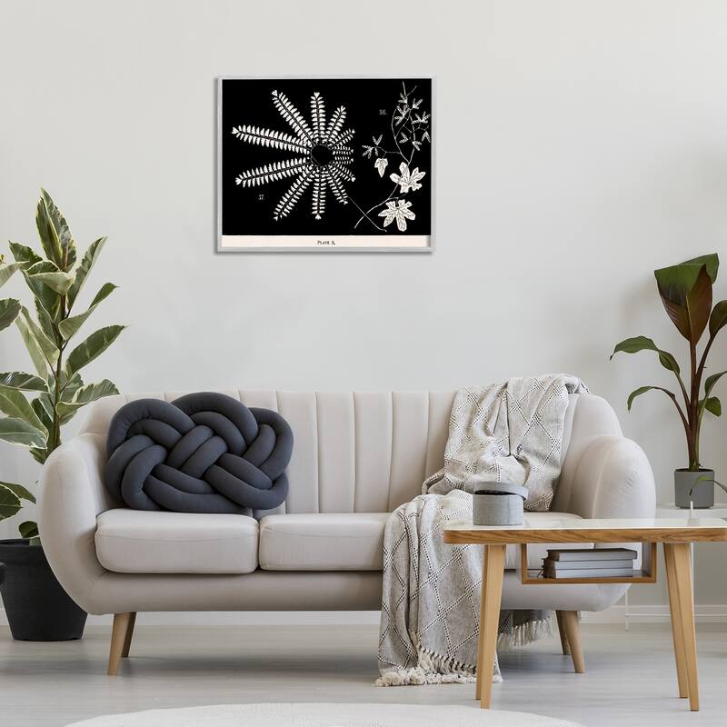 Stupell Ferns & Leaves on Black Framed Giclee Art Design By Phillipa Katz