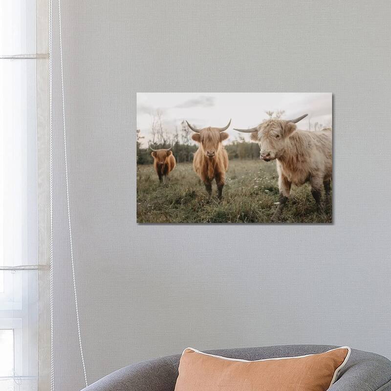 iCanvas "Cows In The Field At Sunrise" by Chelsea Victoria Canvas Print - 18x26x1.5