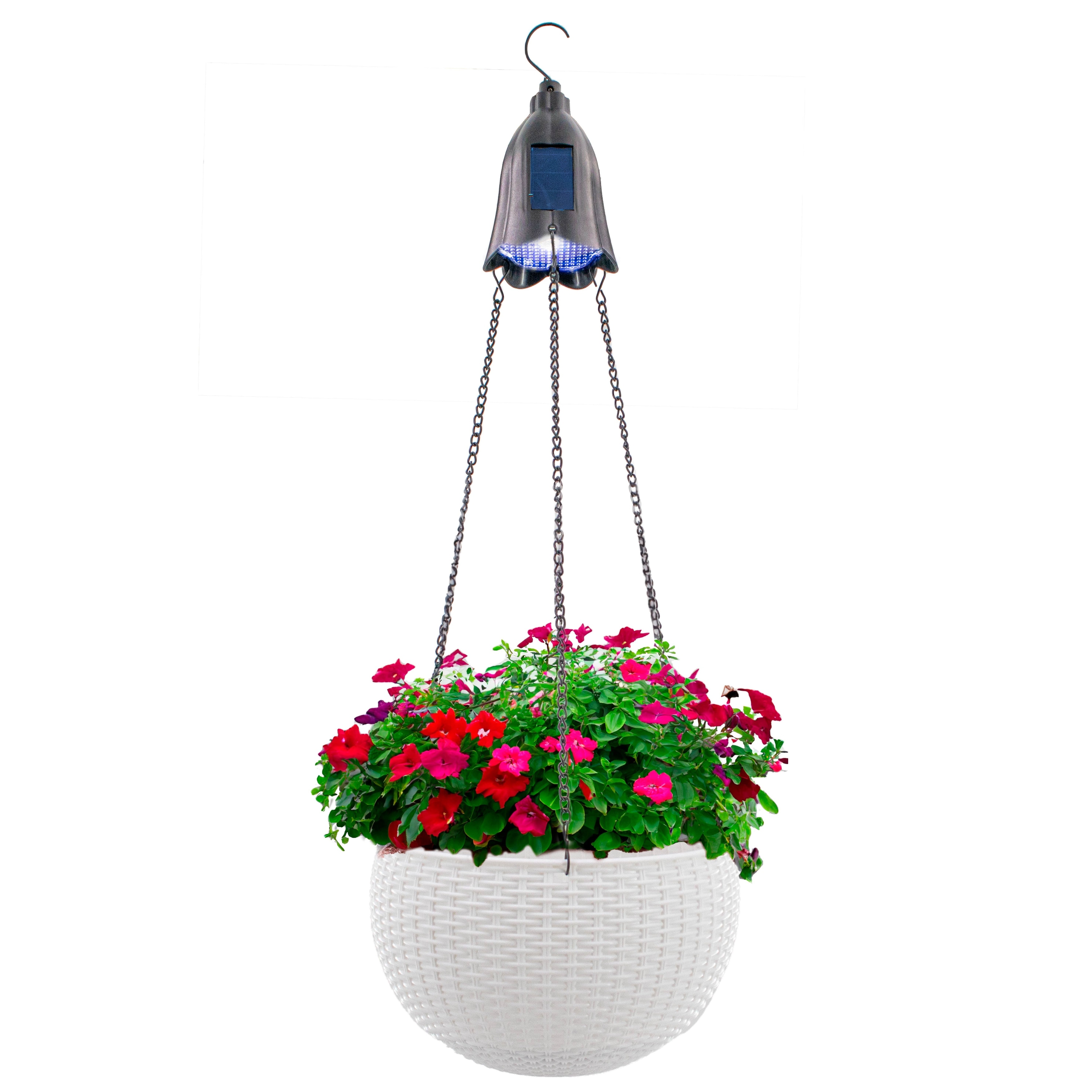 Solar hanging baskets top
