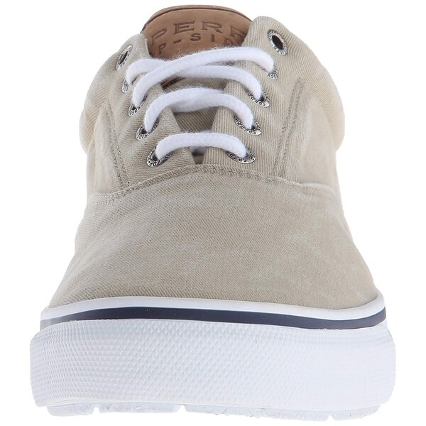 sperry striper ll cvo canvas sneaker