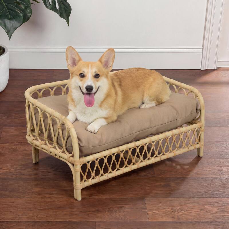 Elevated Rattan Dog Daybed with Machine-Washable Cushion