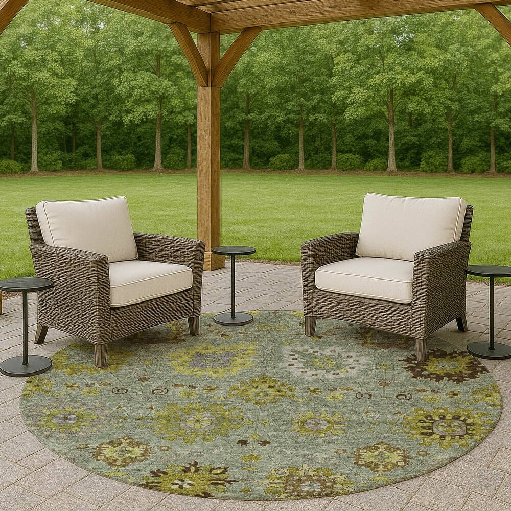 Machine Washable Indoor/ Outdoor Vintage Traditional Chantille Rug