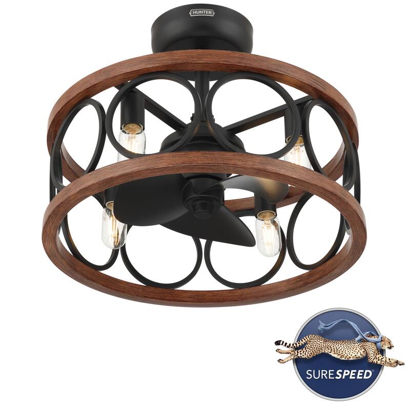 Hunter Haven 22" Fandelier Ceiling Fan w/ Light, Remote - Modern, Industrial, Farmhouse - Small Spaces