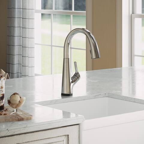 Elkay Avado Single Hole 2-in-1 Kitchen Faucet with Filtered Drinking Water