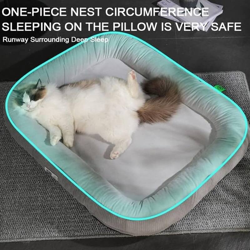 Pet Bed for Small to Medium Dogs and Cat - 38"x28"