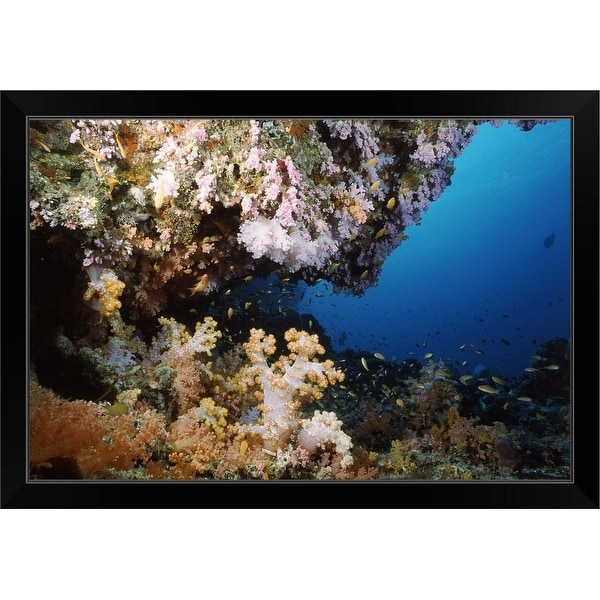 "Underwater coral wall with tropical fish and invertebrates, Maldives" Black Framed Print