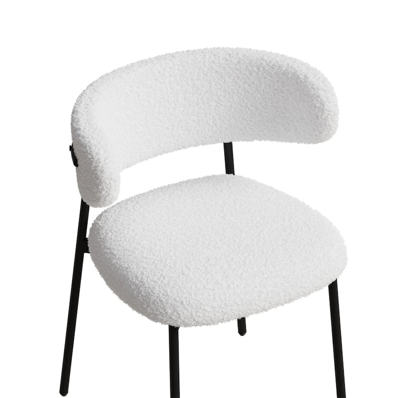 Dining Chairs Set of 2,Medieval Dining Chairs,Teddy Velvet Chairs