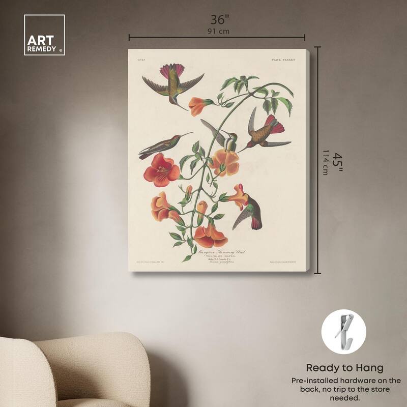 Humming Bird 1834 Canvas by Art Remedy, Gallery Wrapped
