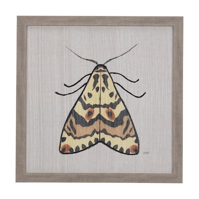 Moth III Framed Art Print