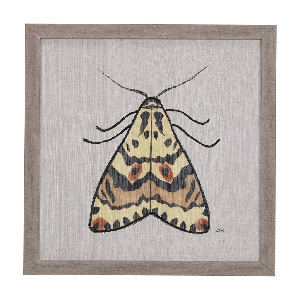 Moth III Framed Art Print