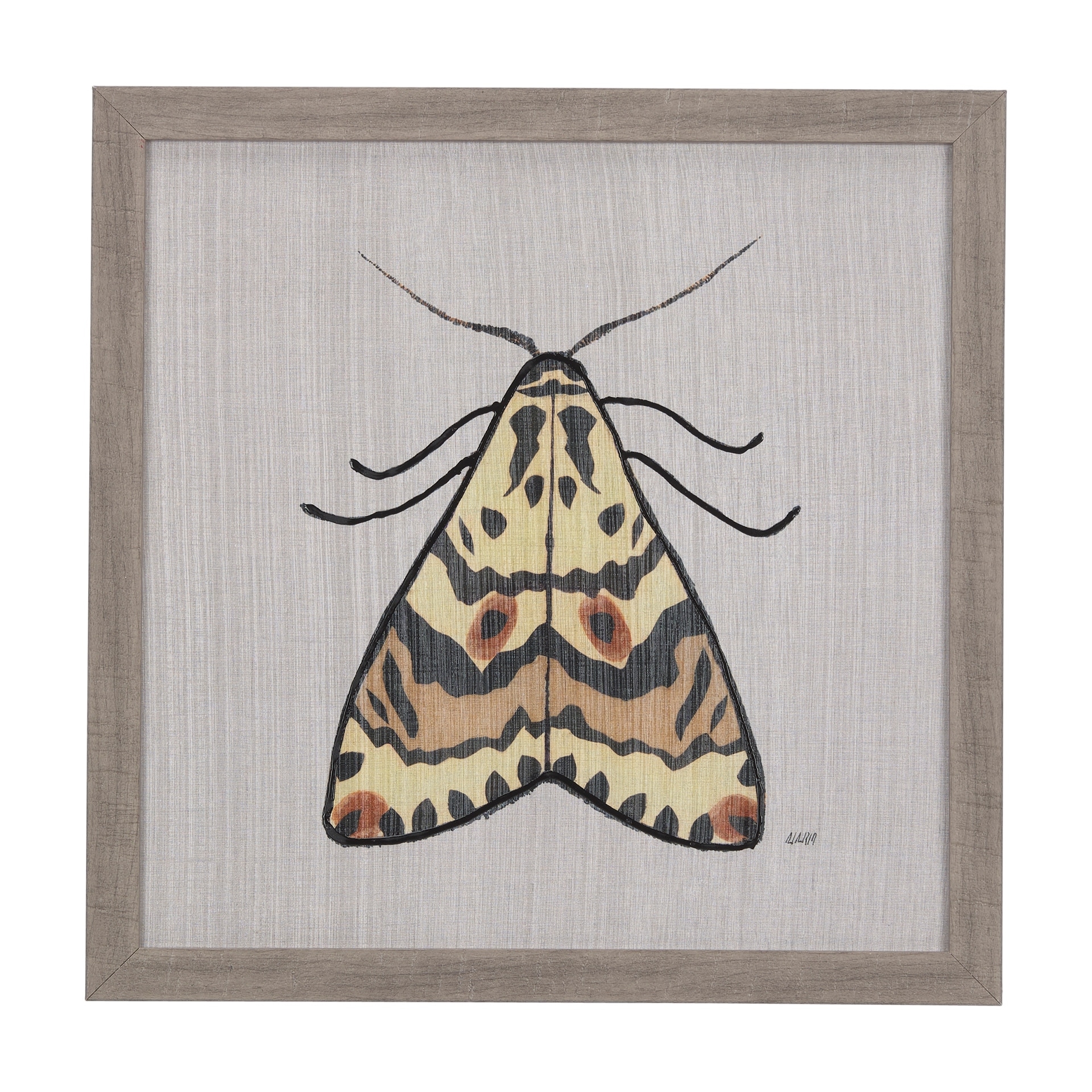 Moth III by Mercana Studio a Hand Embellished Textured Framed Art Print