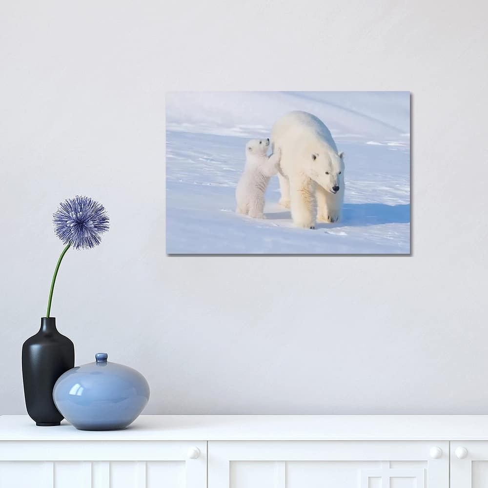 iCanvas "Polar Bear Sow With Spring Cub Newly Emerged From Their Den, Area 1002, ANWR, Alaska" by Steve Kazlowski Canvas Print