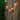 Parrot Patio Light Set - 6' Green Wire - 10ct - 102"