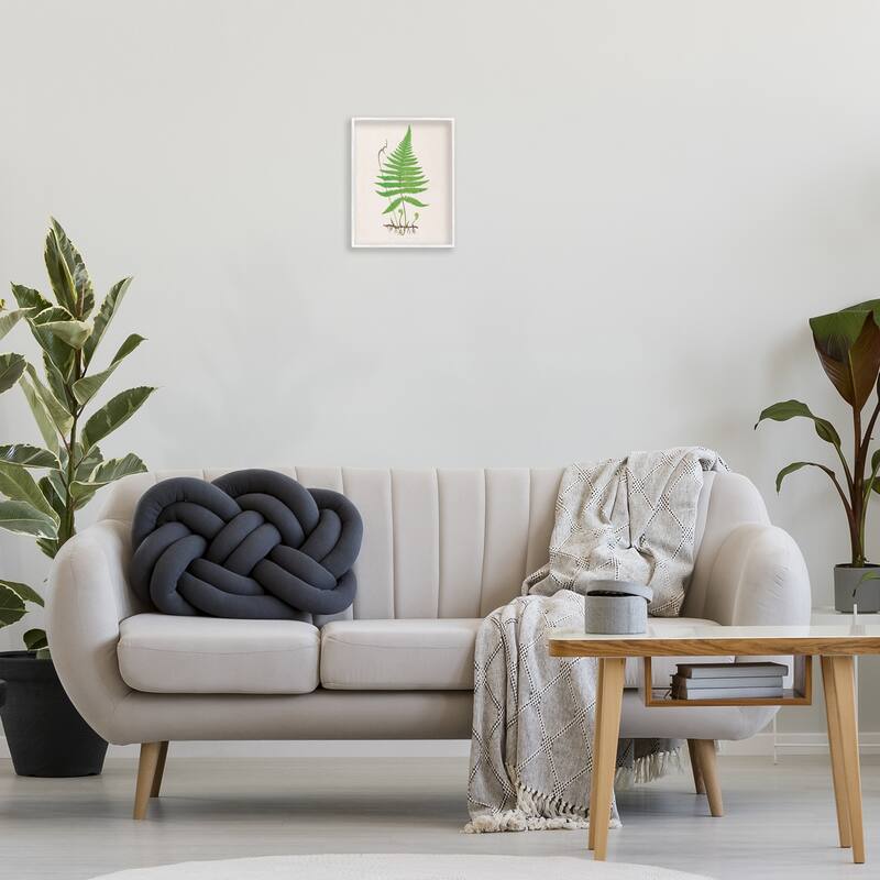 Stupell Curled Budding Fern Sprigs Framed Giclee Art Design By Phillipa Katz